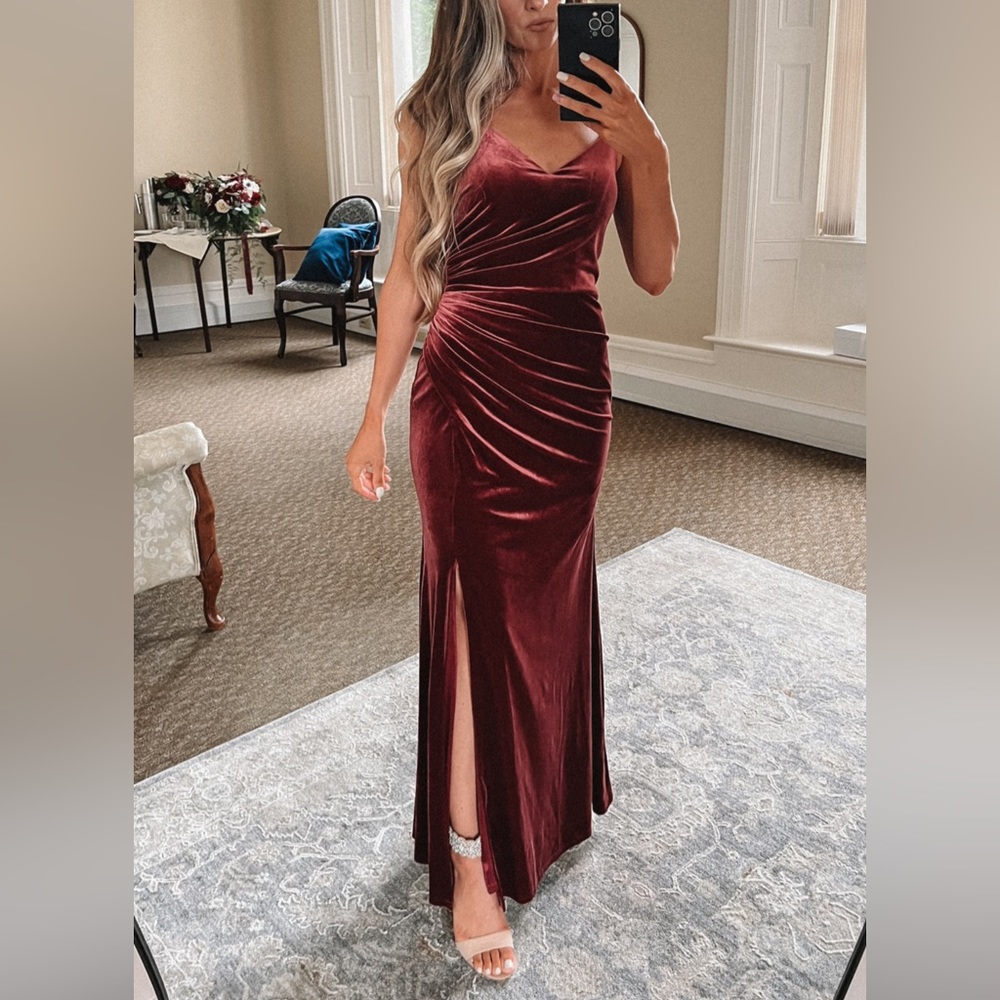 Revelry Rory Velvet Romantic Rose Dress